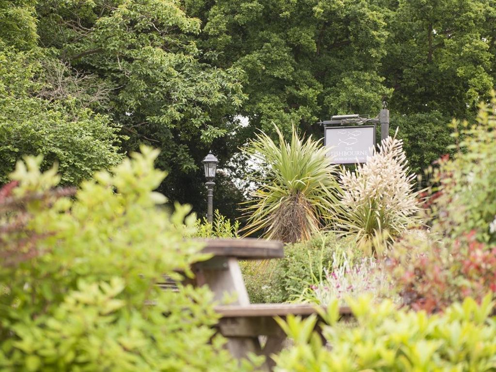 Bed and Breakfast The Fishbourne Fishbourne  Exterior foto